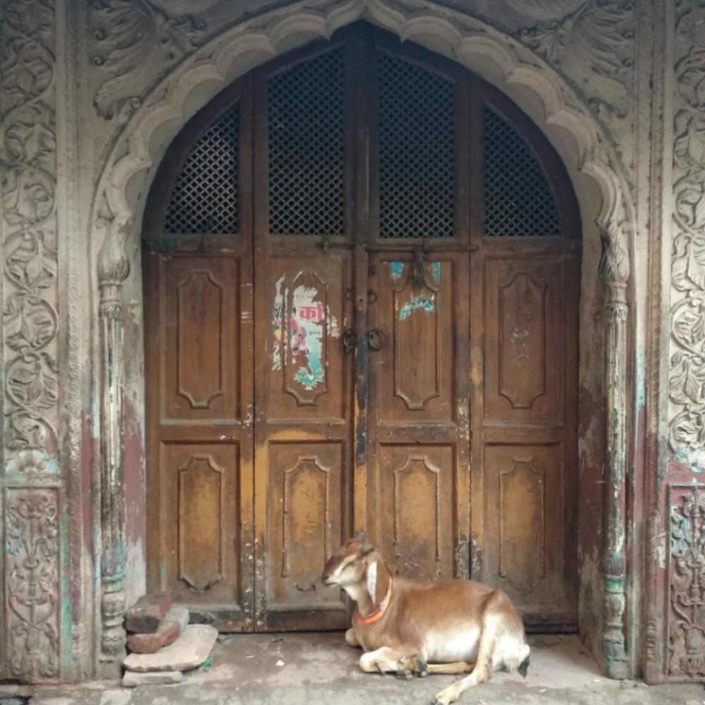 Through old Agra
