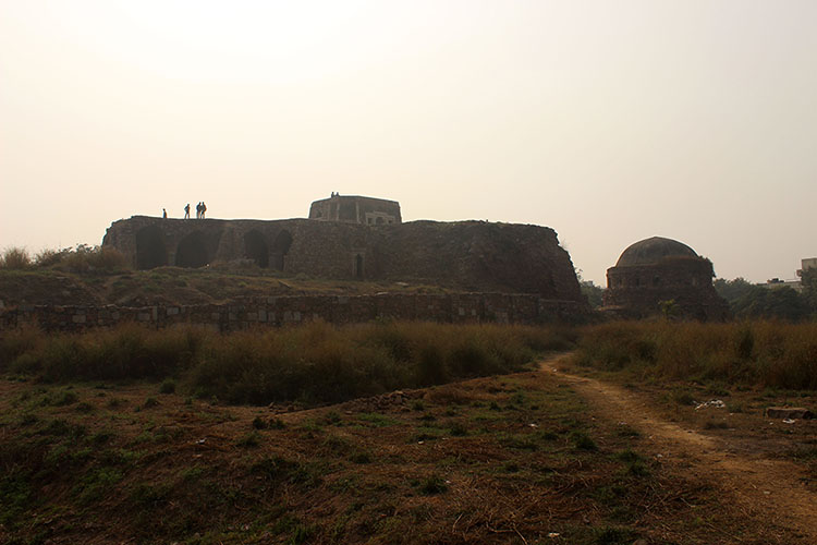 The Ruins of the Palace of Muhammad bin Tughlaq